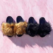 Meeko Fur Slides